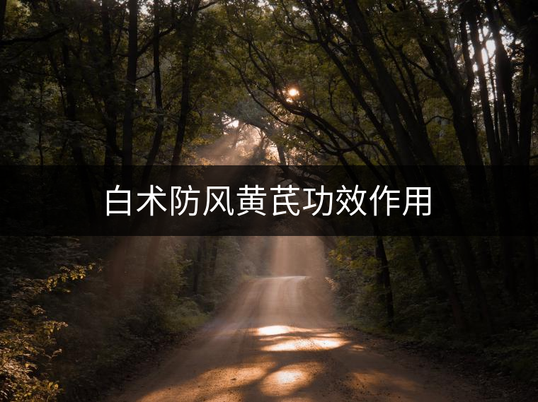 白術防風黃芪功效作用 白術防風黃芪功效作用