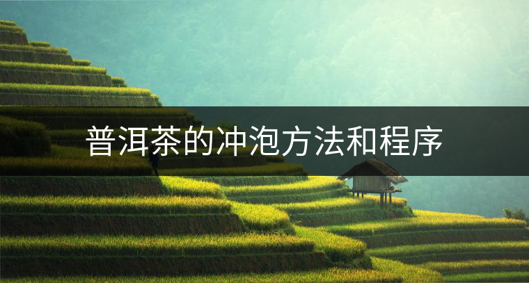 普洱茶的沖泡方法和程序 普洱茶的沖泡方法和程序