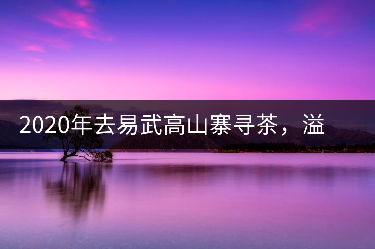 2020年去易武高山寨尋茶，溢滿茶香的古樹寨子-易武中聘號(hào)
