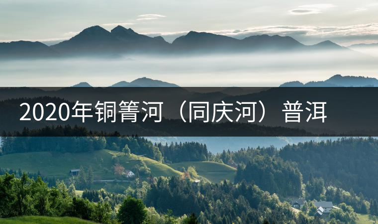 2020年銅箐河（同慶河）普洱茶，野味真難尋！-易武中聘號