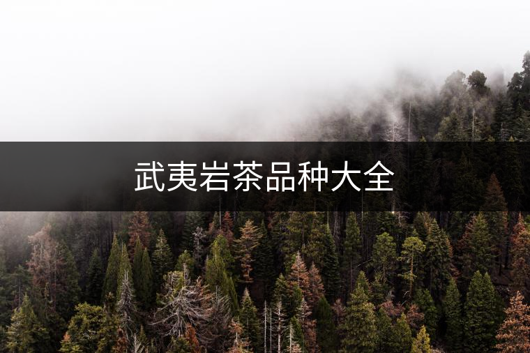 武夷巖茶品種大全 武夷巖茶品種大全