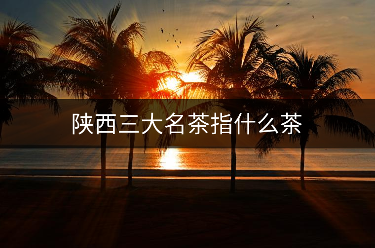 陜西三大名茶指什么茶 陜西三大名茶指什么茶