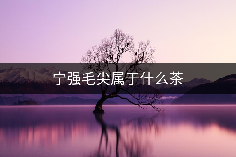 寧強毛尖屬于什么茶 寧強毛尖屬于什么茶