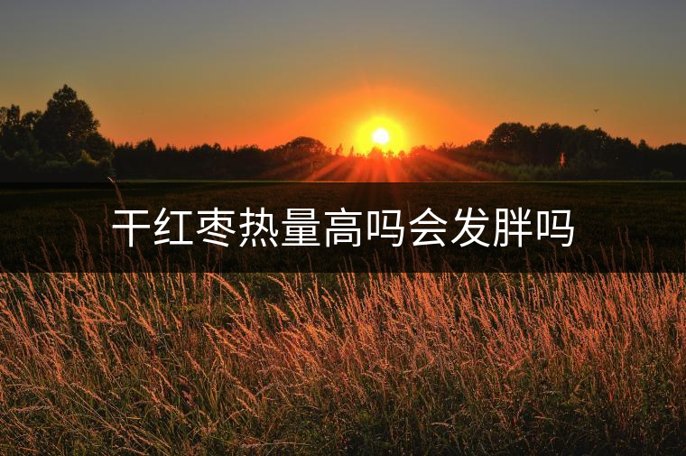 干紅棗熱量高嗎會(huì)發(fā)胖嗎