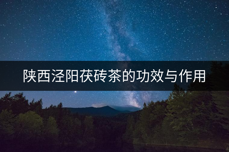 陜西涇陽茯磚茶的功效與作用