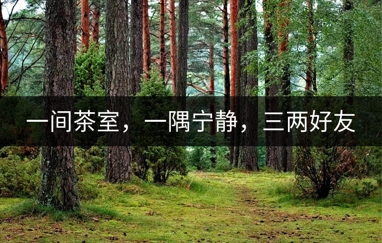 一間茶室，一隅寧?kù)o，三兩好友