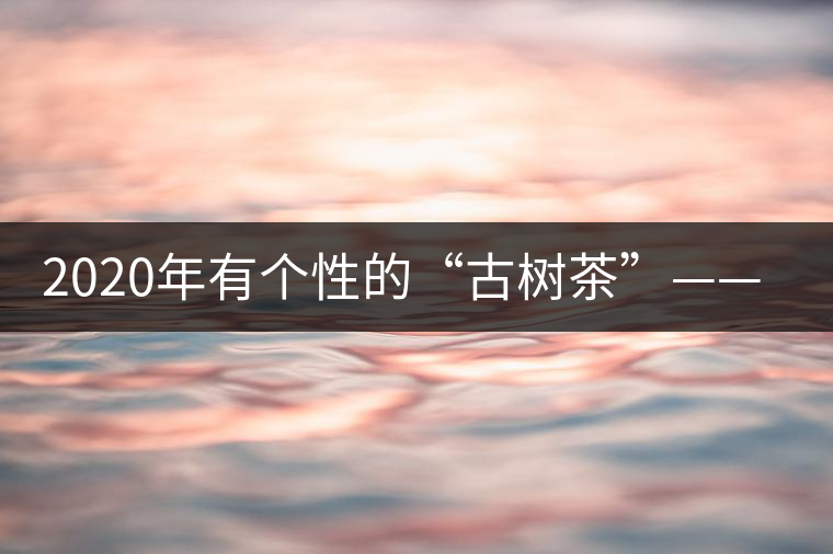 2020年有個(gè)性的“古樹茶”——一扇磨-易武中聘號(hào)