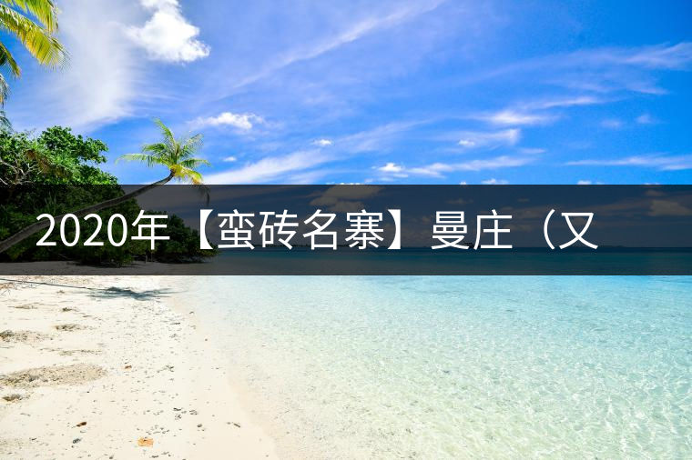 2020年【蠻磚名寨】曼莊（又作：蠻磚、曼磚）-易武中聘號(hào)