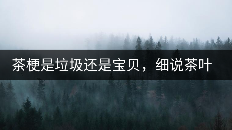 茶梗是垃圾還是寶貝，細(xì)說茶葉的那些梗