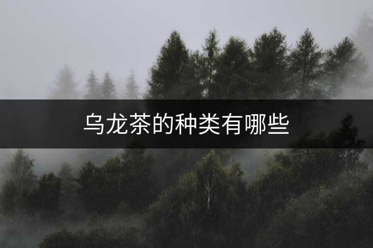 烏龍茶的種類有哪些 烏龍茶的種類有哪些