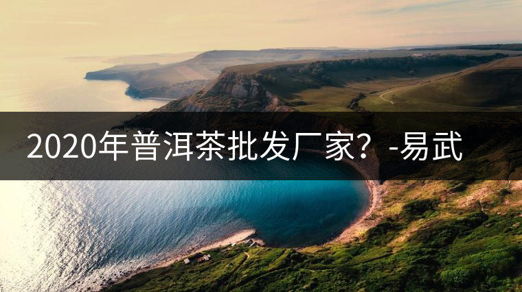 2020年普洱茶批發(fā)廠家？-易武中聘號(hào)