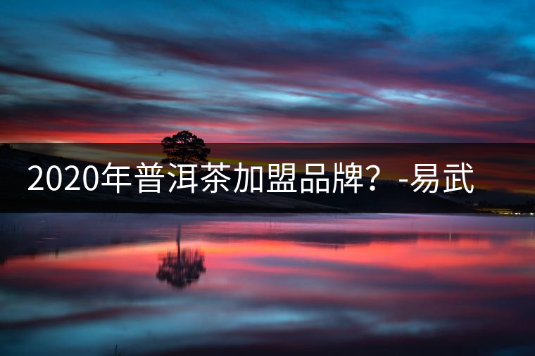 2020年普洱茶加盟品牌？-易武中聘號