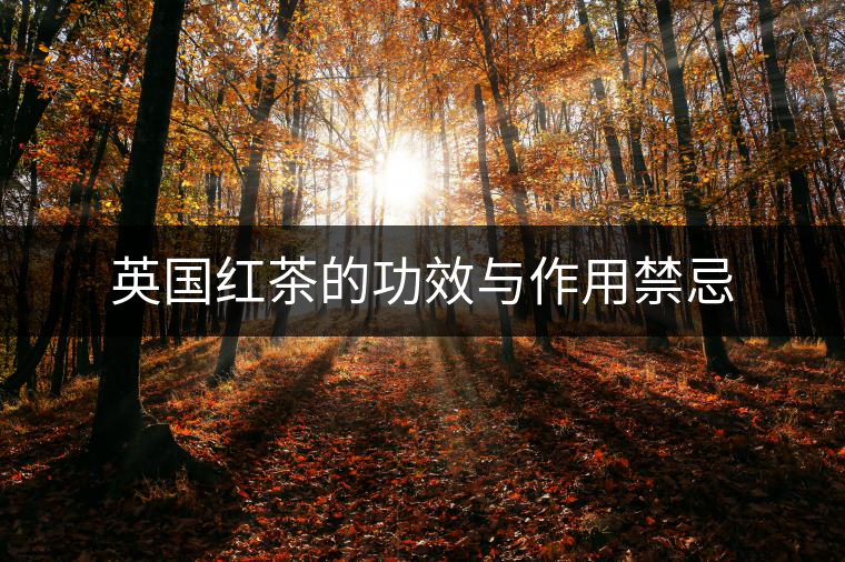 英國紅茶的功效與作用禁忌 英國紅茶的功效與作用禁忌