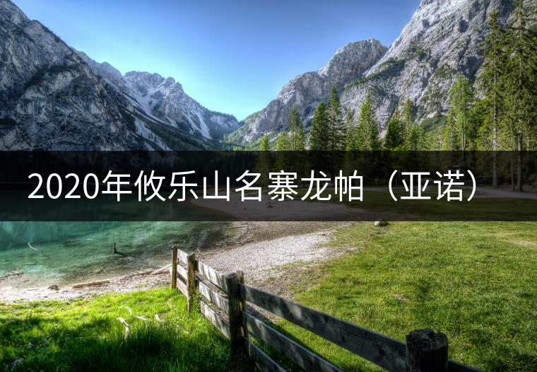 2020年攸樂山名寨龍帕(亞諾)古樹茶茶-易武中聘號(hào) 2020年攸樂山名寨龍帕(亞諾)古樹茶茶-易武中聘號(hào)