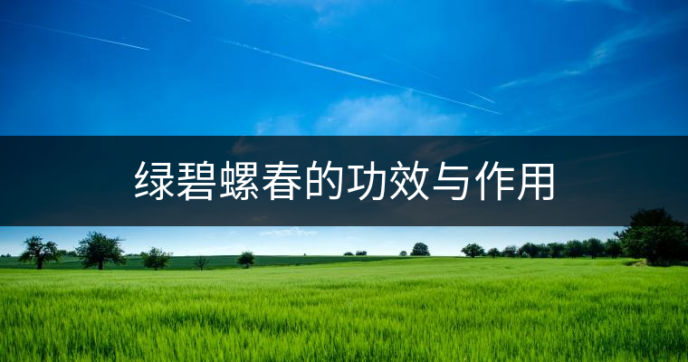 綠碧螺春的功效與作用