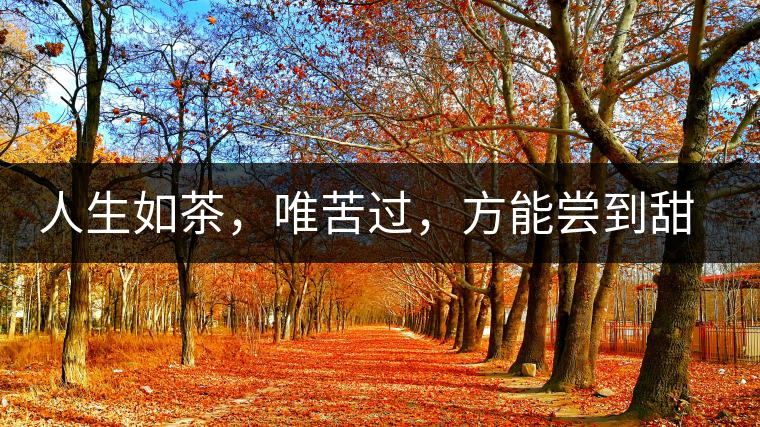 人生如茶，唯苦過，方能嘗到甜滋味