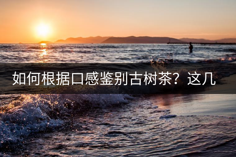 如何根據(jù)口感鑒別古樹茶？這幾個技巧值得收藏