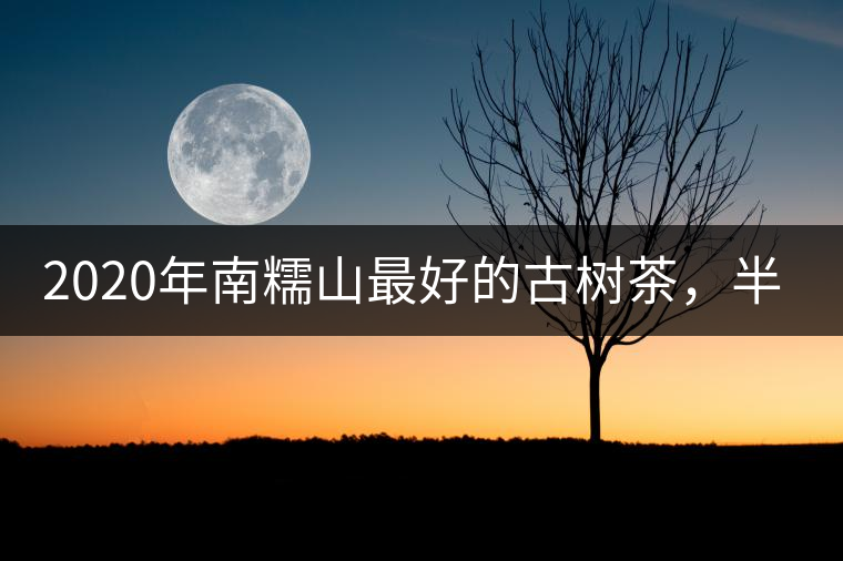 2020年南糯山最好的古樹(shù)茶，半坡老寨！-易武中聘號(hào)