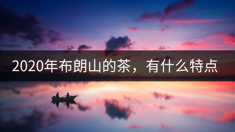 2020年布朗山的茶，有什么特點(diǎn)？-易武中聘號(hào)