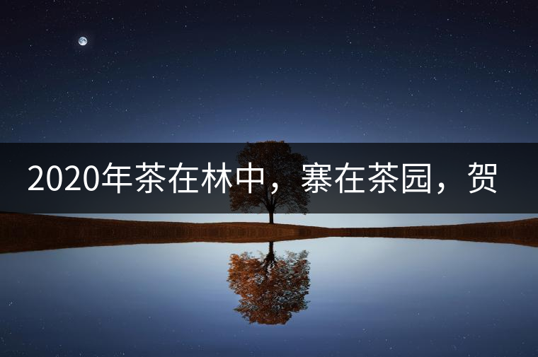 2020年茶在林中，寨在茶園，賀開古樹茶-易武中聘號