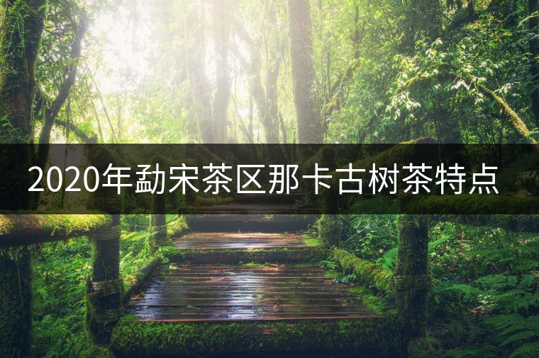 2020年勐宋茶區(qū)那卡古樹茶特點(diǎn)-易武中聘號(hào)
