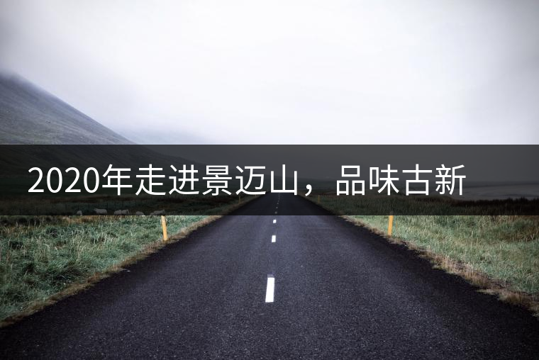 2020年走進景邁山，品味古新六大茶山古樹茶之韻-易武中聘號