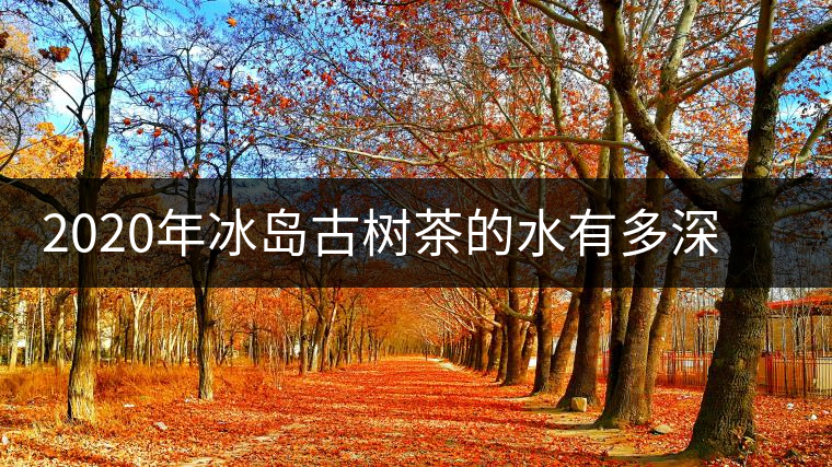 2020年冰島古樹茶的水有多深？別被蒙在鼓里啦-易武中聘號