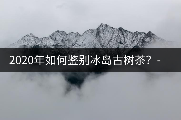 2020年如何鑒別冰島古樹茶？-易武中聘號