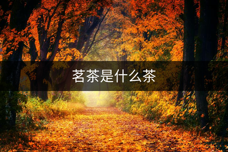 茗茶是什么茶