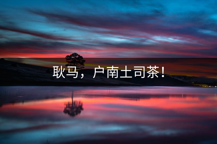 耿馬，戶南土司茶！