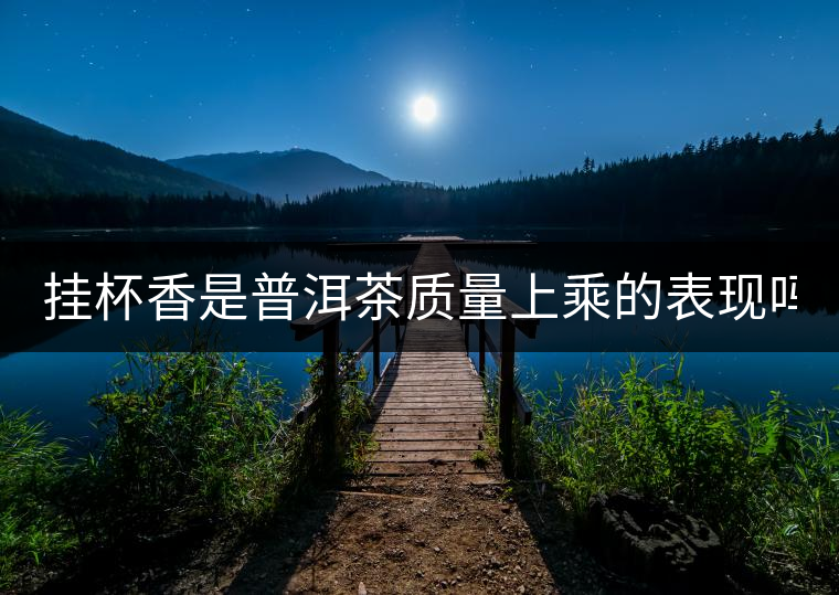 掛杯香是普洱茶質(zhì)量上乘的表現(xiàn)嗎？