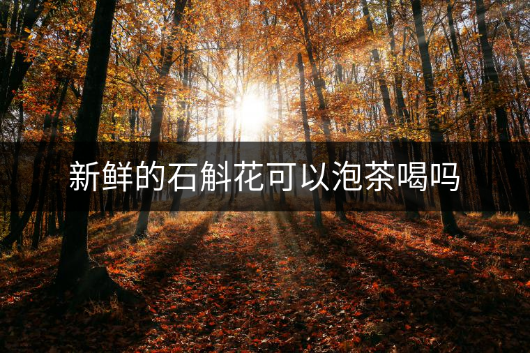 新鮮的石斛花可以泡茶喝嗎 新鮮的石斛花可以泡茶喝嗎