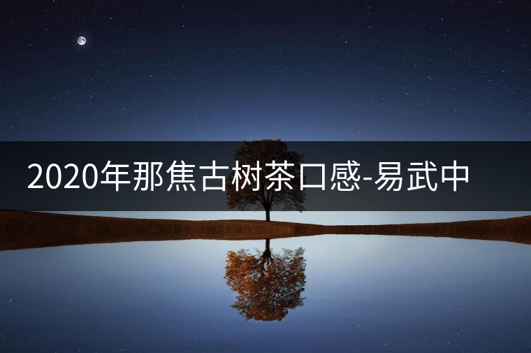 2020年那焦古樹茶口感-易武中聘號(hào) 2020年那焦古樹茶口感-易武中聘號(hào)