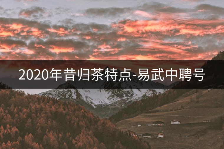 2020年昔歸茶特點(diǎn)-易武中聘號