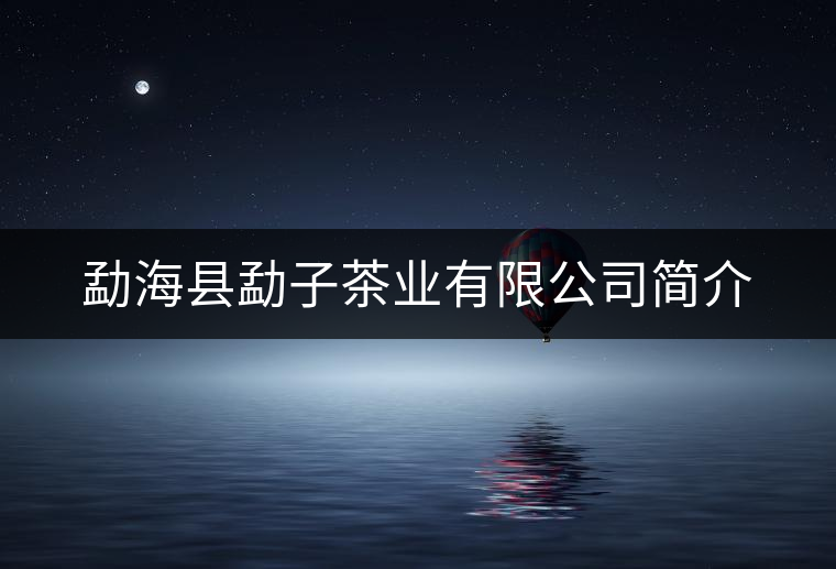 勐?？h勐子茶業(yè)有限公司簡介