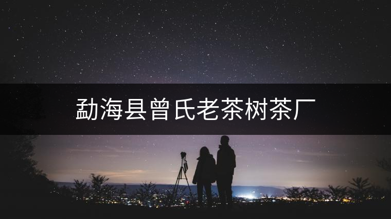 勐??h曾氏老茶樹茶廠 勐海縣曾氏老茶樹茶廠