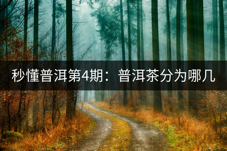 秒懂普洱第4期：普洱茶分為哪幾類？