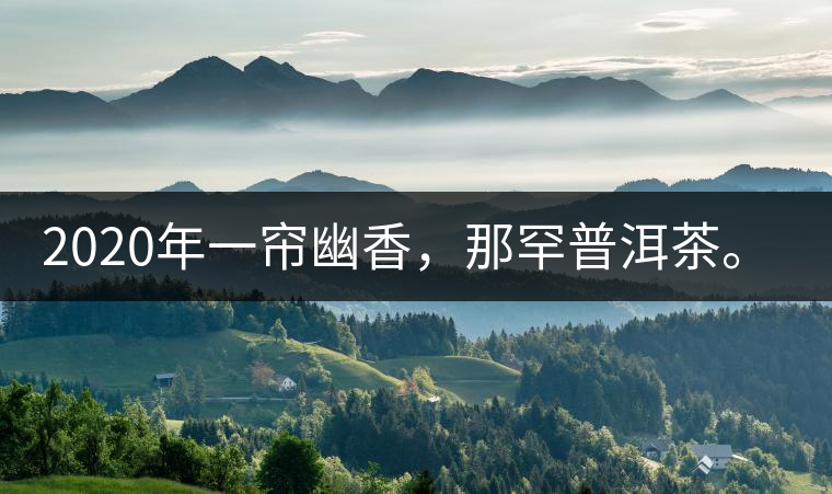 2020年一簾幽香，那罕普洱茶。-易武中聘號(hào)