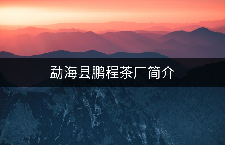 勐?？h鵬程茶廠簡(jiǎn)介