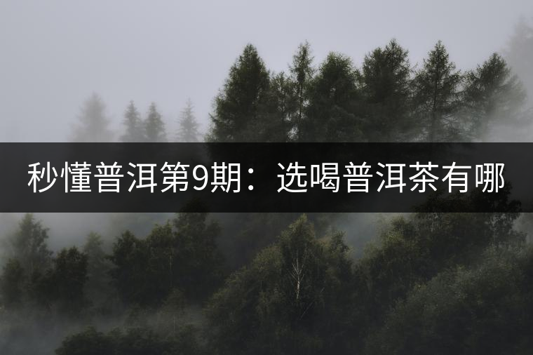 秒懂普洱第9期：選喝普洱茶有哪些理由？