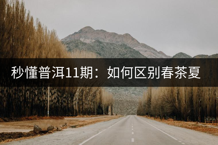 秒懂普洱11期：如何區(qū)別春茶夏茶秋茶？
