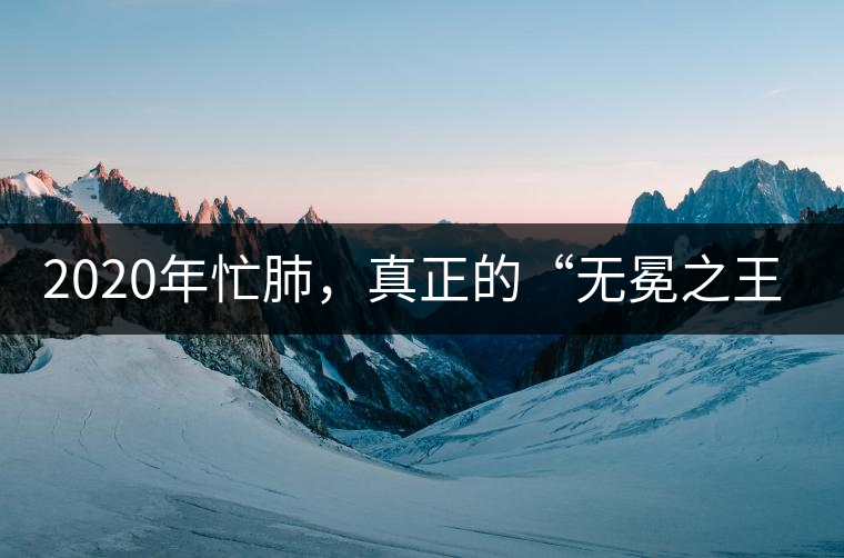 2020年忙肺，真正的“無冕之王”！-易武中聘號