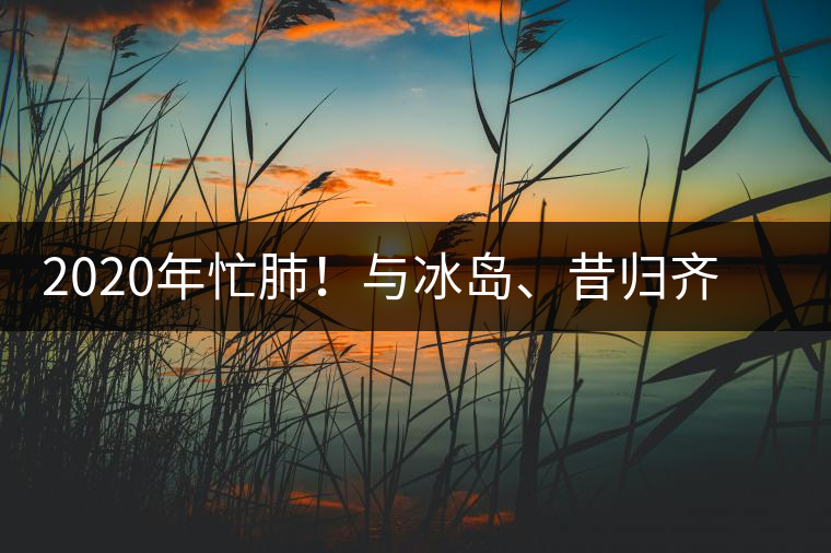 2020年忙肺！與冰島、昔歸齊名的普洱茶，到底是什么味道？-易武中聘號