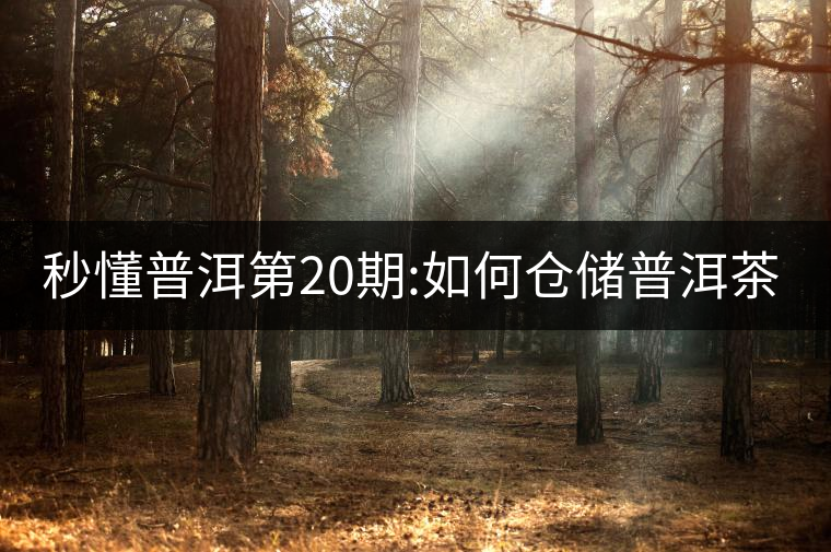 秒懂普洱第20期:如何倉儲普洱茶？
