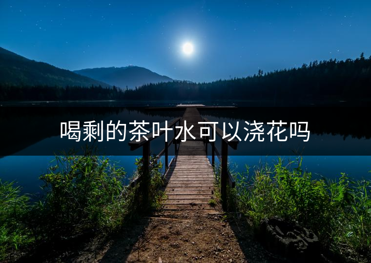 喝剩的茶葉水可以澆花嗎