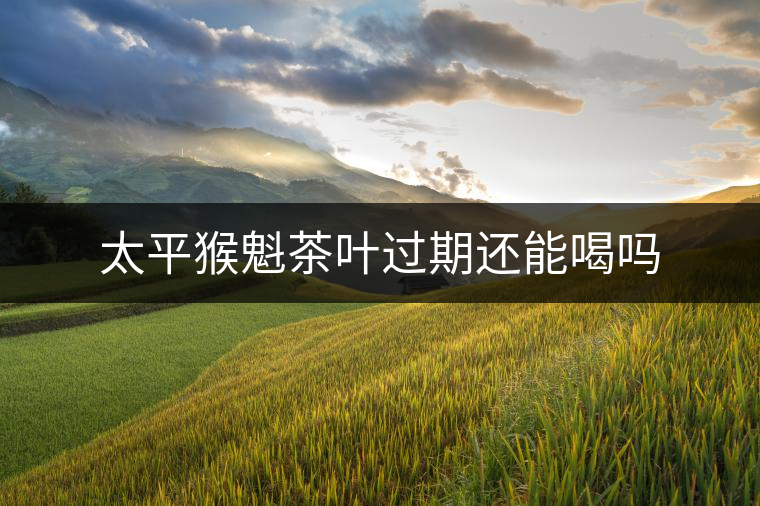太平猴魁茶葉過期還能喝嗎 太平猴魁茶葉過期還能喝嗎