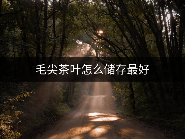 毛尖茶葉怎么儲(chǔ)存最好