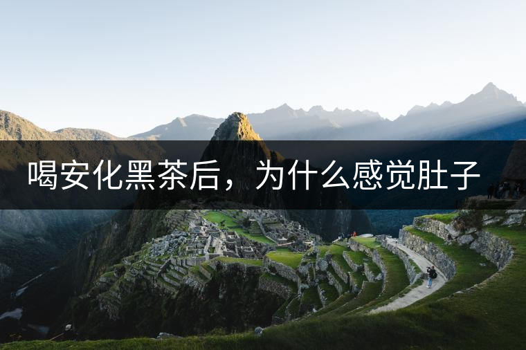 喝安化黑茶后，為什么感覺肚子餓的快？
