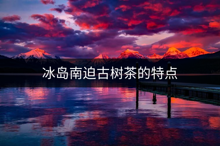 冰島南迫古樹(shù)茶的特點(diǎn) 冰島南迫古樹(shù)茶的特點(diǎn)
