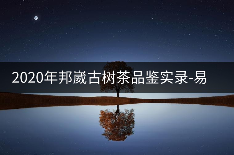 2020年邦崴古樹茶品鑒實錄-易武中聘號 2020年邦崴古樹茶品鑒實錄-易武中聘號